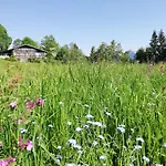 Apartment Tschengla Mit Eigener Sonnenterrasse - Wiese - Wlan - Netflix *