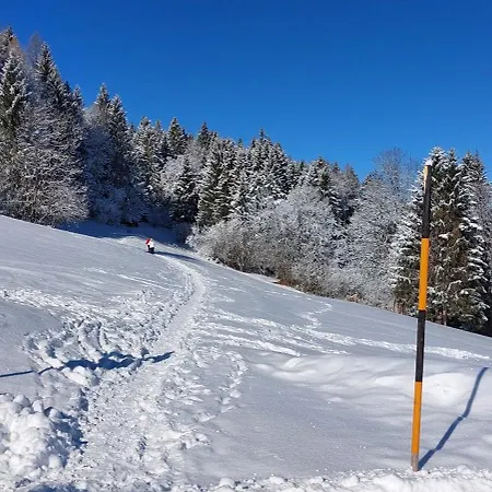 Apartment Tschengla Mit Eigener Sonnenterrasse - Wiese - Wlan - Netflix