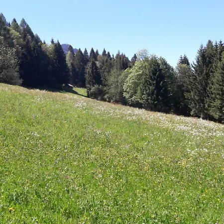 Tschengla Mit Eigener Sonnenterrasse - Wiese - Wlan Apartamento