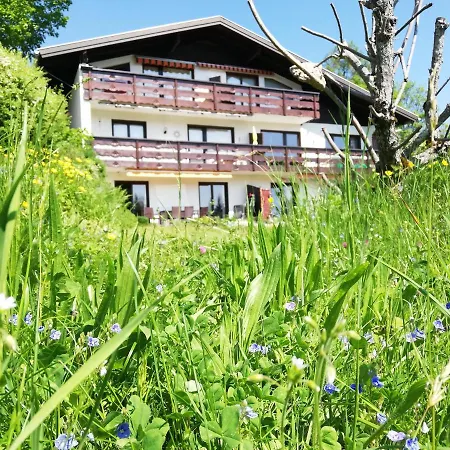 Tschengla Mit Eigener Sonnenterrasse - Wiese - Wlan - Netflix Apartament Bürserberg