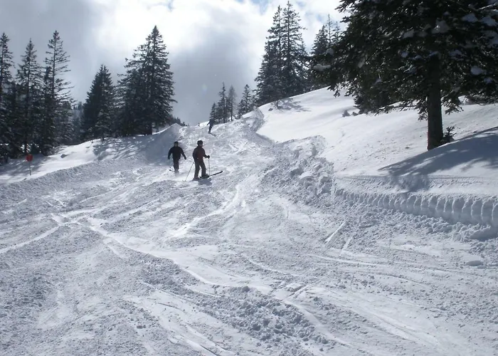 Tschengla Mit Eigener Sonnenterrasse - Wiese - Wlan * Bürserberg